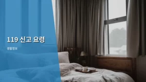 119 신고 요령, 위급 상황에서 꼭 알아야 할 생명 지키는 법