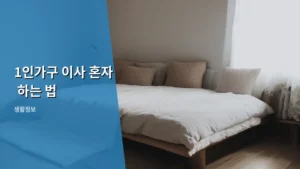 혼자서도 문제없는! 1인가구 이사 혼자 하는 법 완벽 가이드