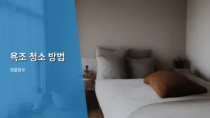 욕조 청소 방법, 집안 청결 지키는 만능 가이드