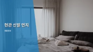 현관 신발 먼지, 이제는 완벽하게 잡는 생활꿀팁 총정리