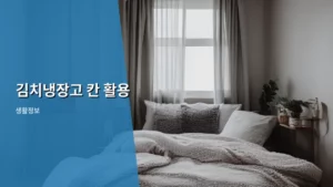 김치냉장고 칸 활용으로 주방 공간 똑똑하게 정리하는 법
