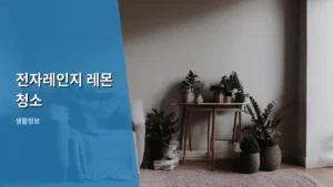 전자레인지 레몬 청소, 찌든 때 싹 지우는 초간단 꿀팁 공개