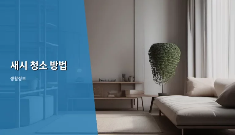 창틀 먼지 고민 해결! 깨끗한 새시 청소 방법 및 관리 꿀팁