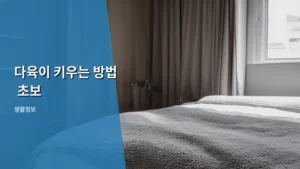 초보자도 실패 없는 다육이 키우는 방법, 이것만 알면 끝이다