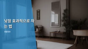 꿀잠 자는 비결! 낮잠 효과적으로 자는 법 완벽 가이드