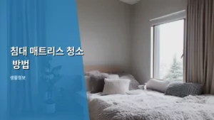 침대 매트리스 청소 방법, 뽀송하게 관리하는 완벽 가이드