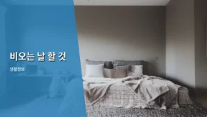 비오는 날 할 것 찾기! 꿉꿉함 날려줄 실내 데이트 추천 코스